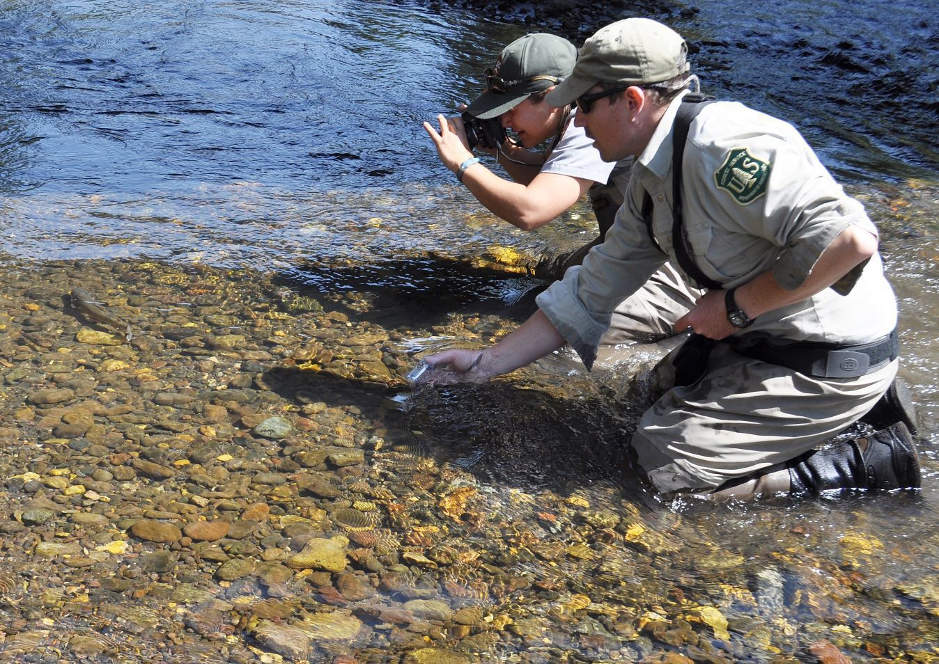 Trout release